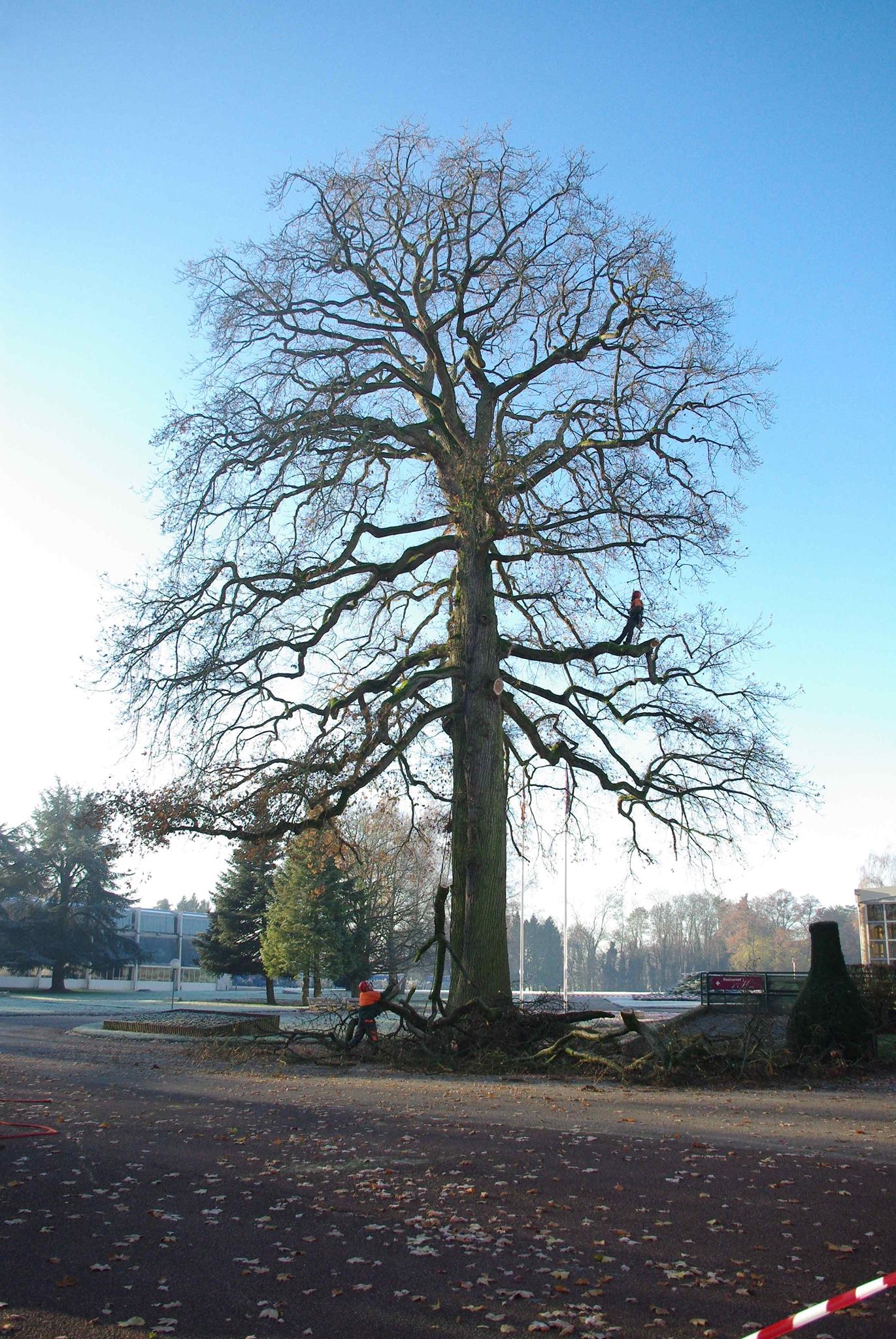 1490896_10202074301673193_1443869512_o